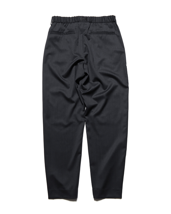 spnt_262025_charcoalgray_C.jpg